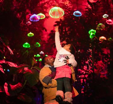 Father holding up daughter reaching to touch a Christmas light in the shape of a jellyfish within the immersive lights in the Rainforest Biome